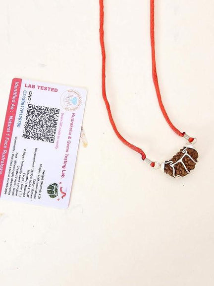 The Divine Eka Mukhi Rudraksha