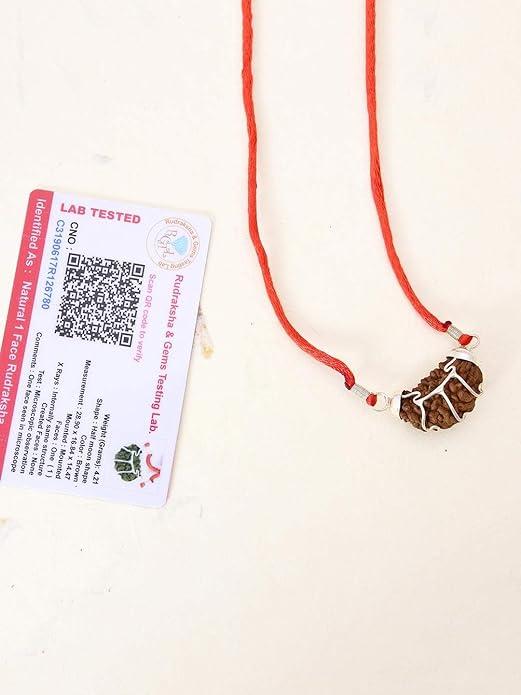 The Divine Eka Mukhi Rudraksha