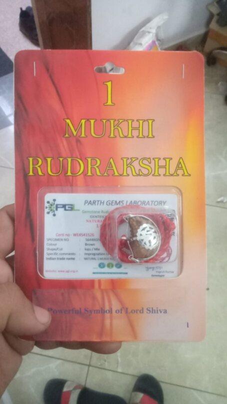 The Divine Eka Mukhi Rudraksha