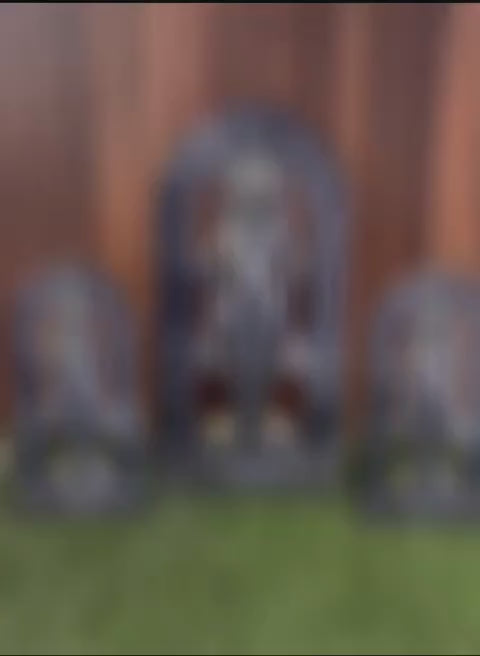 Ram Lalla MDF Cutout of Ram Lalla Statue in Ayodhya Mandir (2D)